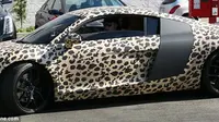 Corak Leopard itu tidak serasi dengan sport car gen Jerman itu. 