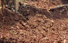 Turap Penahan Tebing di Taman Margasatwa Ragunan Jebol Akibat Curah Hujan Tinggi