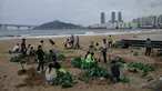 Anggota dewan distrik mengisi kantong pasir sebagai bagian dari persiapan menjelang kedatangan topan Maysak, di pantai Gwangalli di Busan (2/9/2020). Penerbangan di-grounded di Korea Selatan dan peringatan badai dikeluarkan di kedua sisi semenanjung Korea. (AFP/Ed Jones)