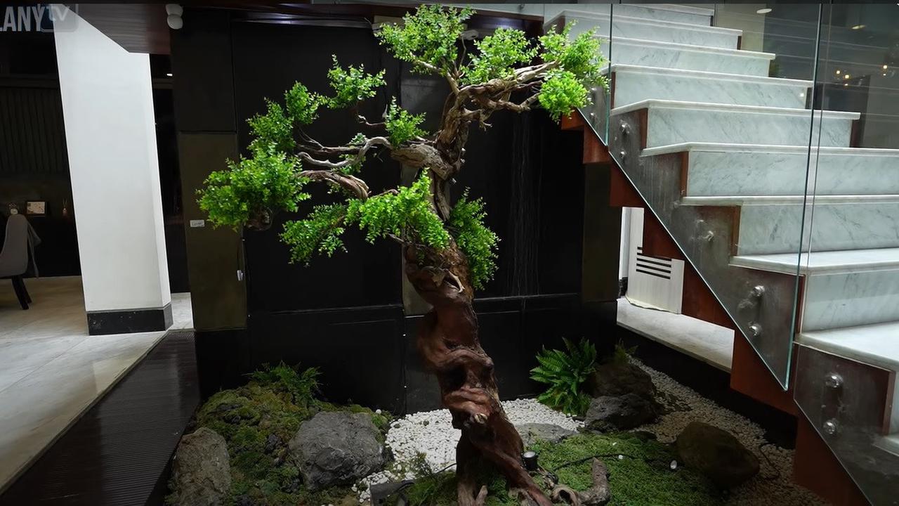 Paludarium hingga Dapur Elegan, Ini Potret Rumah Rachel Vennya yang Estetik dan Mewah