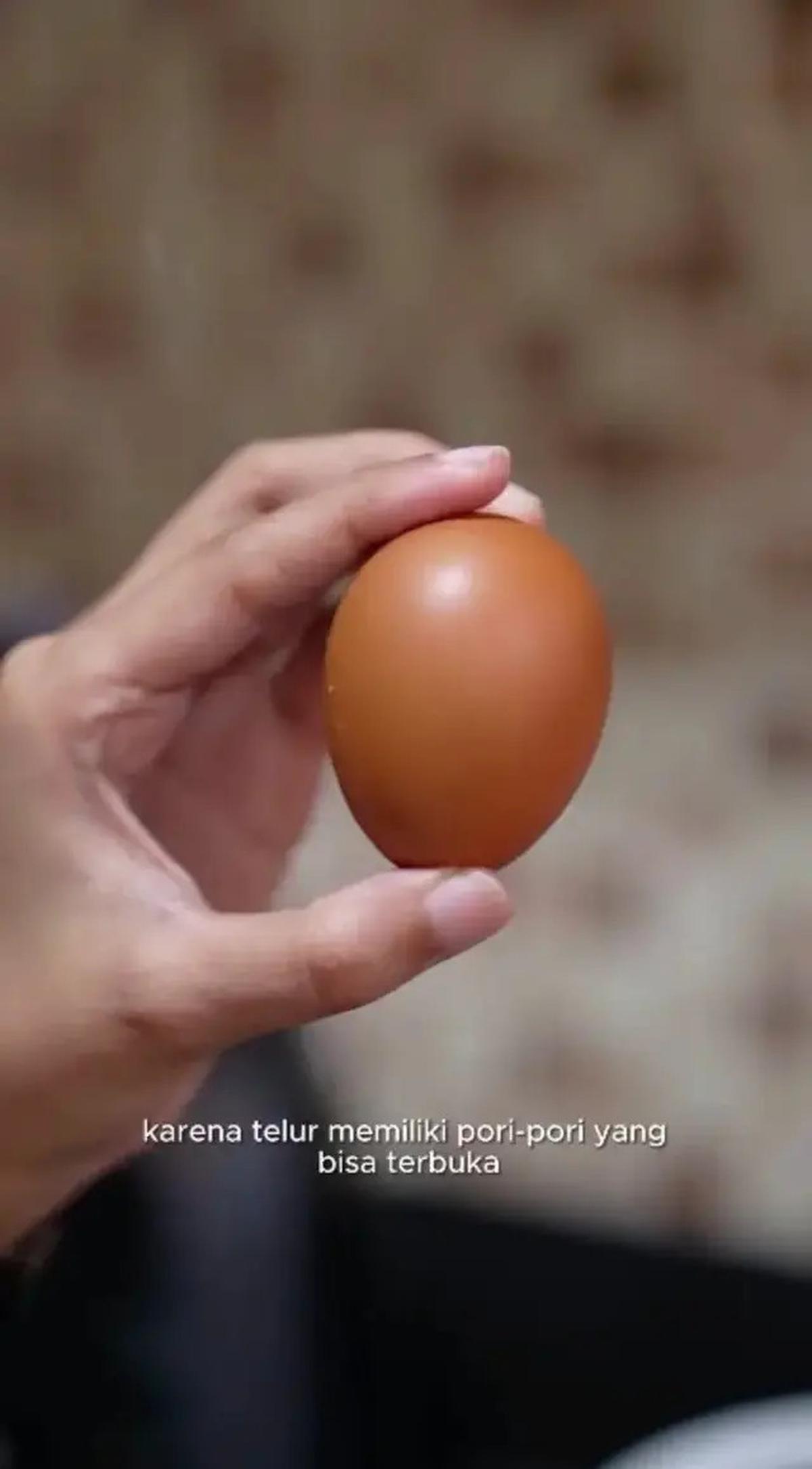 Agar Telur Tetap Higienis saat Disimpan, Coba Trik Ini Tanpa Perlu Dicuci