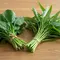 5 Tips Menyimpan Bayam dan Kangkung agar Tidak Cepat Busuk, Coba Cara Ini di Rumah
