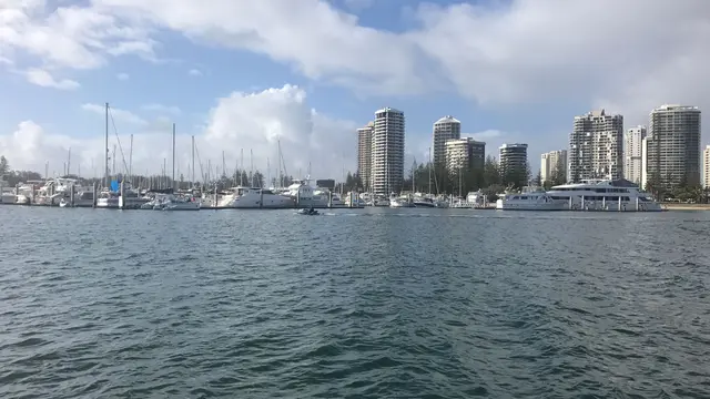 Wisata Menakjubkan Bersama Ikan Paus dan Burung Pelikan di Gold Coast Australia