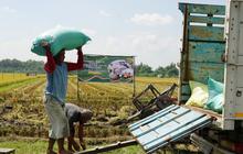 Sektor Pertanian Sumbang PDRB Madiun Rp27,48 Miliar pada 2025, Dominasi Ekonomi Lokal