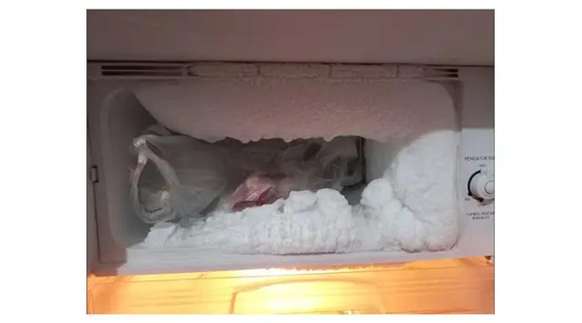 Rahasia Cara Cepat Menghilangkan Bunga Es di Freezer yang Wajib Dicoba