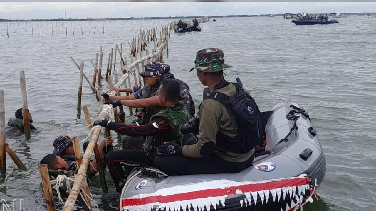 Perintah Kasal, Pasukan TNI AL Dibantu Nelayan Makin Getol Obrak Abrik Pagar Laut Misterius