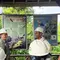 Tim dari Badan Riset dan Inovasi Nasional (BRIN) melakukan kunjungan lapangan ke area operasional PT Astra Agro di Kalimantan Tengah pada 4-5 Juni 2026. (Antara)