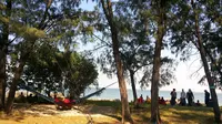 Melihat dari Dekat Surga Burung di Pulau Rambut