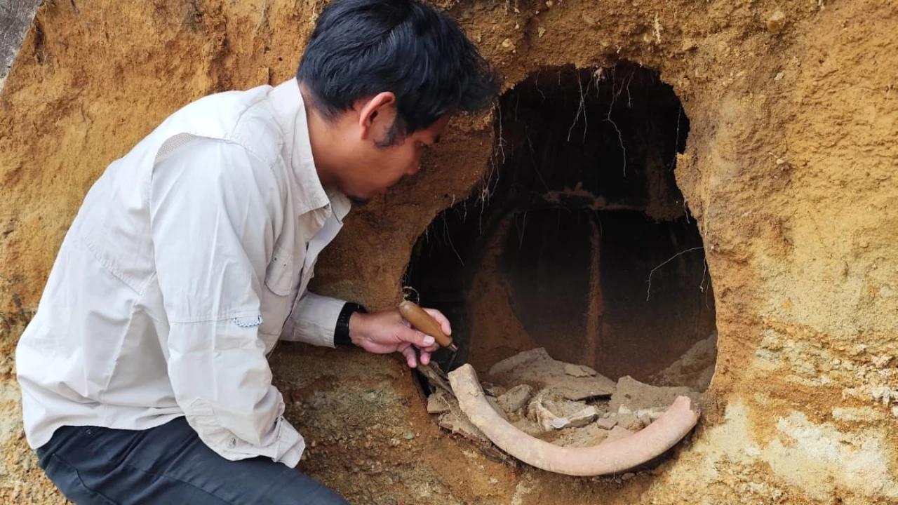 Warga Poso Temukan Tulang Manusia dalam Gentong di Kawasan Megalitikum