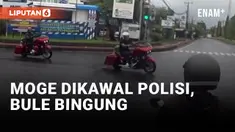 Lihat Moge Dikawal Polisi, Bule Ini Kebingungan