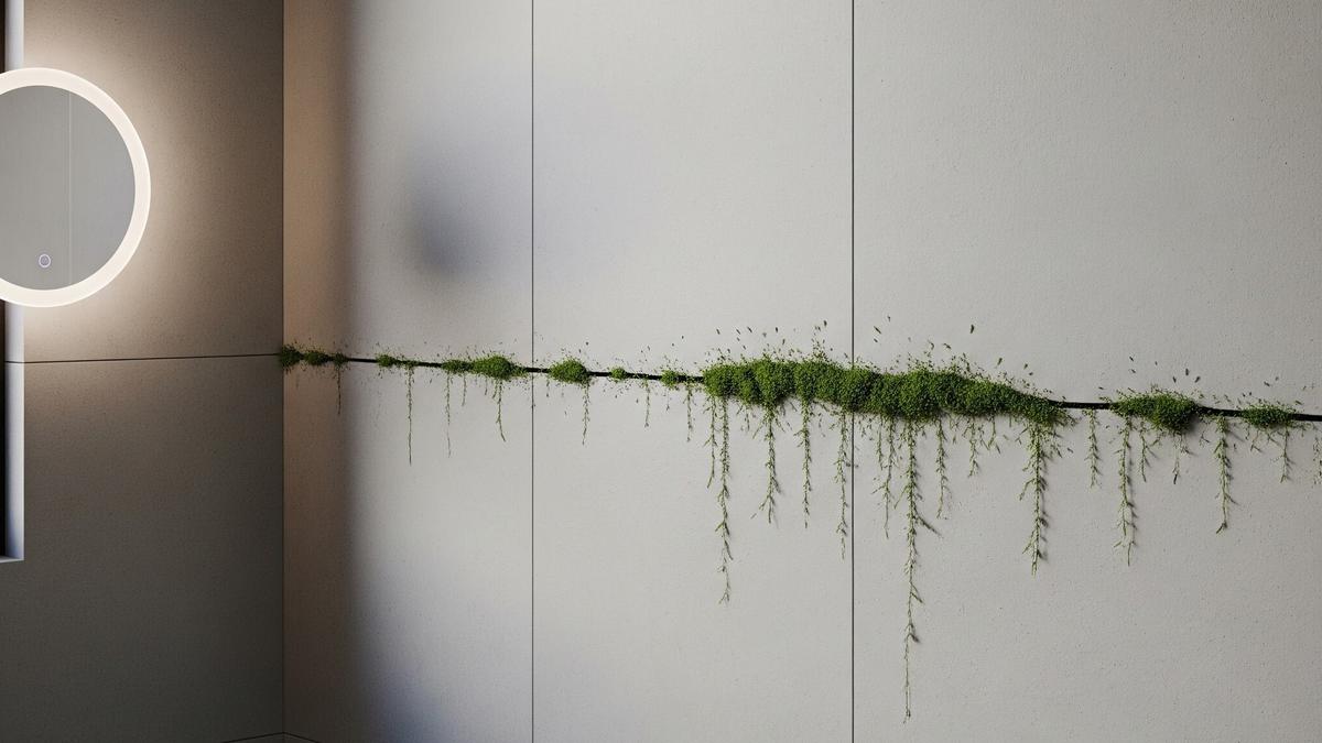 Tips Mengatasi Tembok Berlumut di Rumah Dekat Sawah, Jaga Estetika dan Kesehatan