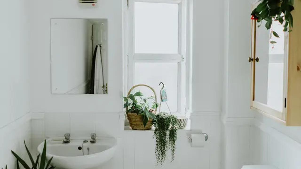 8 Tips Membuat Kamar Mandi Wangi Tahan Lama, Solusi Simpel untuk Hunian Sehat