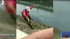 Dalam video penangkapan buaya ini terlihat masih dalam kondisi hidup, dan warga sekitar beramai-ramai antusias untuk menyaksikan.