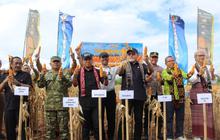 Ketahanan Pangan Ditjenpas NTT: Panen 10 Ton Jagung di Lapas Kupang Dukung Ekonomi Daerah