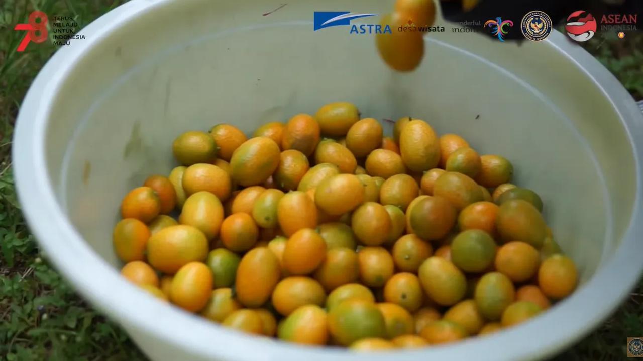 Bisa petik Kopi Dlundung dan rasakan kesegaran Jeruk Nagami.