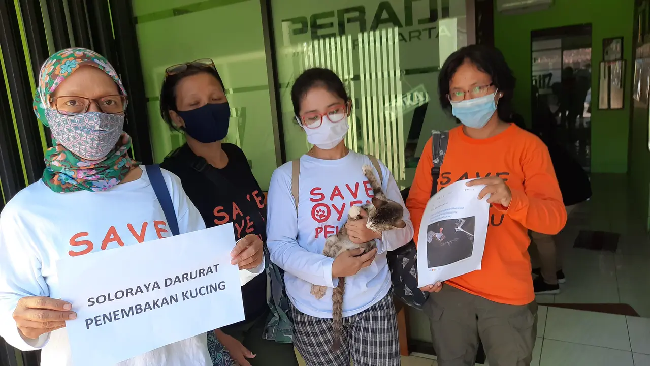 Kasus Penembakan Kucing