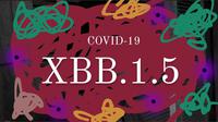 Ilustrasi COVID-19 XBB.1.5. Foto: (Liputan6.com/Ade Nasihudin).
