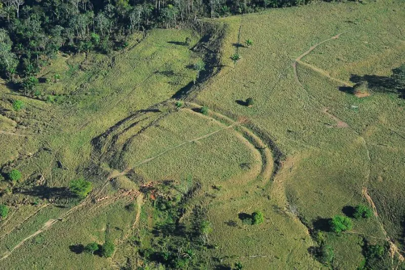 Geoglif tersembunyi di Amazon Brasil (AFP)