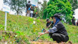 Kerja keras lebih dari setahun mulai membuahkan hasil. Rasman mampu merangkul sejumlah warga untuk bergabung sebagai kelompok tani hutan. "Dulu mereka anggota kelompok tani juga penambang seperti saya. Kita tidak bisa melarang dan memaksa mereka berhenti, sehingga perlu cara lain agar mereka tetap bisa mendapat penghasilan," ujarnya. (Foto: Dokumentasi BRI)
