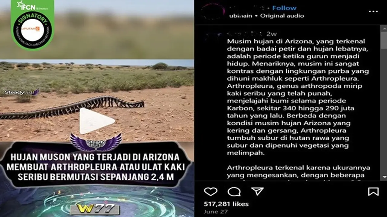 Gambar tangkapan layar video yang diklaim penampakan kelabang raksasa Arthropleura. (sumber: Instagram)