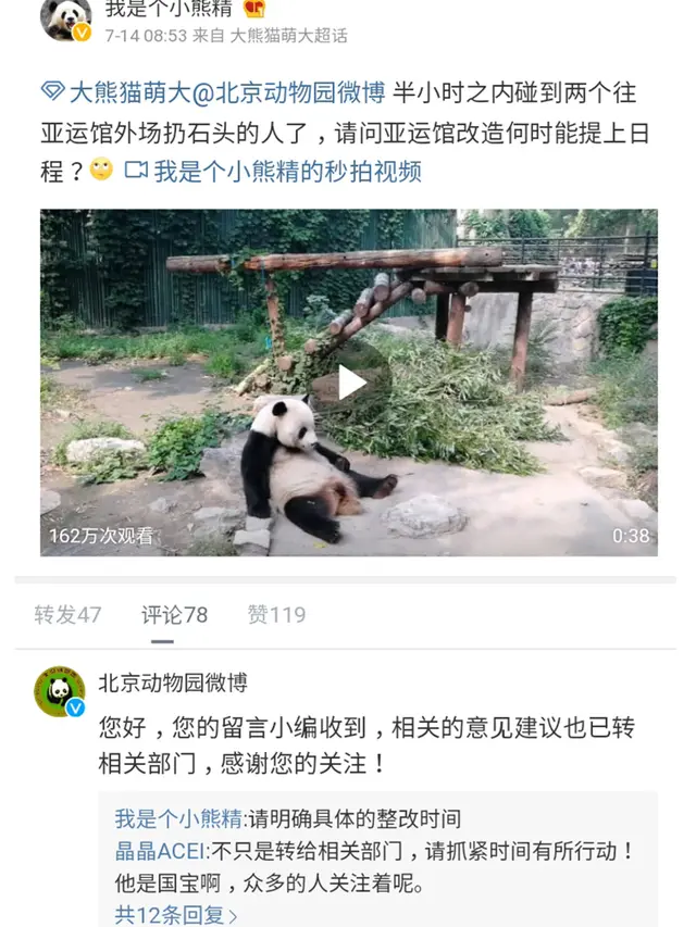 Pengunjung di Cina Lempar Batu ke Panda