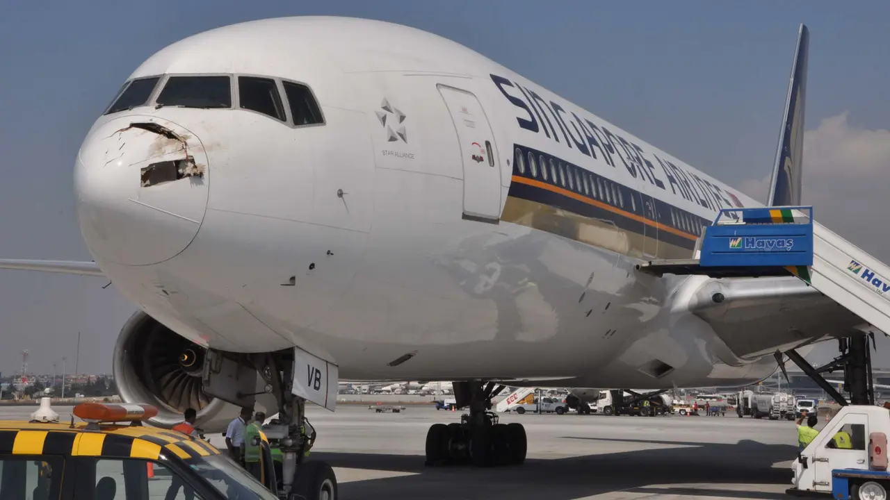 Tabrak Kawanan Bangau, Singapore Airlines Mendarat di Turki