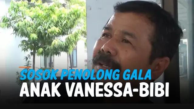 VIDEO: Ini Kesaksian Pria Penolong Gala Saat Vanessa Angel dan Suami Meninggal Kecelakaan
