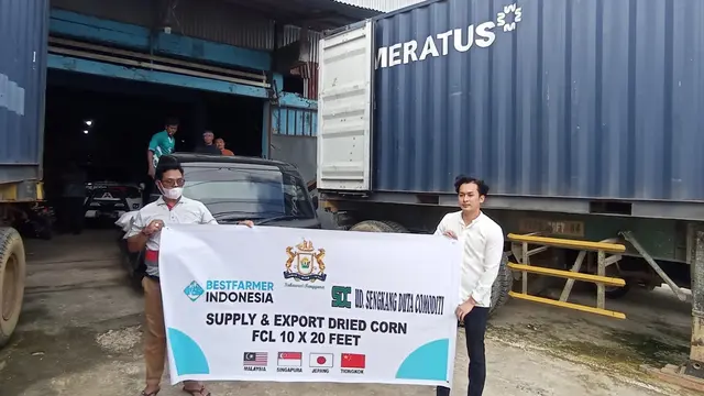 Ekspor 24,5 ton jagung kering asal Sulawesi Tenggara yang dilakukan seorang pemuda asal Kota Kendari, Steven Stenly.(Liputan6.com/Ahmad Akbar Fua)