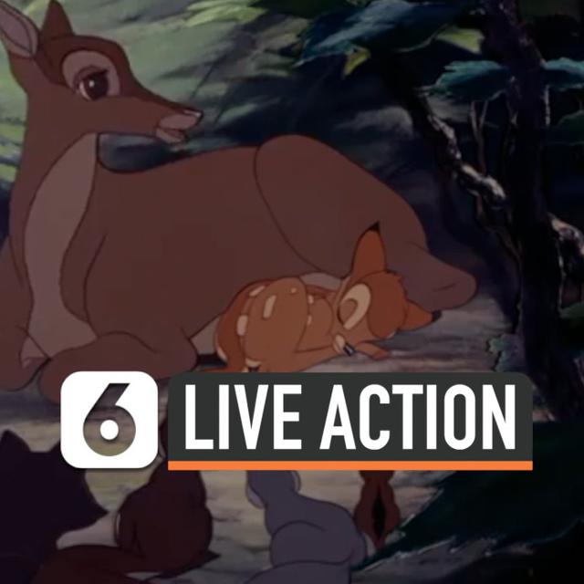 Video Disney Umumkan Garap Film Live Action Bambi Showbiz Liputan6 Com