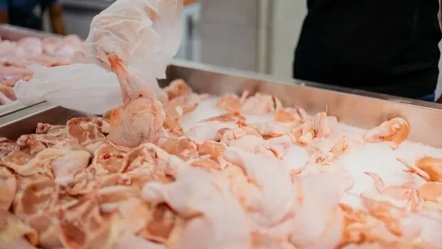 7 Tips Usaha Ayam Potong, Rahasia Menjaga Kualitas dan Menarik Banyak Pembeli