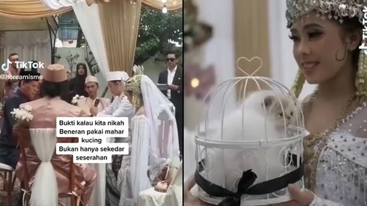 Viral Pasangan Ini Menikah dengan Mahar Kucing, Ramai Komentar Kocak Netizen