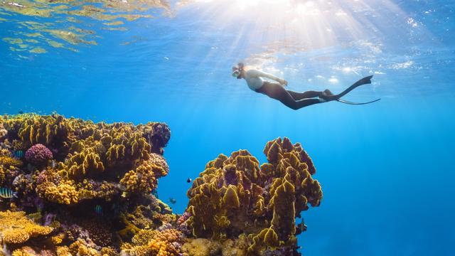 Ilustrasi liburan, traveling, snorkeling