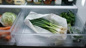 Cara Menyimpan Daun Bawang di Kulkas agar Tidak Cepat Layu, Jaga Kesegarannya Tanpa Ribet