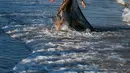 Model asal Brasil Isabeli Fontana berjalan di pantai saat sesi pemotretan selama Festival film Venice ke-74 di Venice, Italia (30/8). Model 34 tahun ini tampil dengan gaun transparan saat sesi pemotretan di pantai. (AP Photo / Domenico Stinellis)