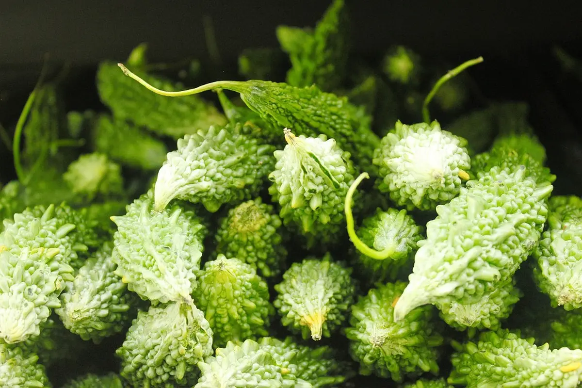 Sayur pare