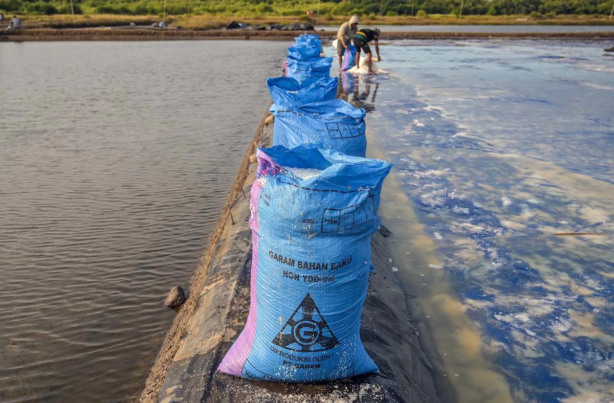 FOTO: Produksi Garam Rakyat Digenjot Kurangi Ketergantungan Impor