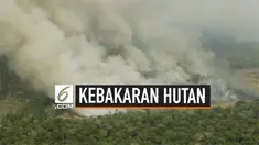 Greenpeace mengunggah video kebakaran hebat yang terjadi di hutan hujan Amazon, pemerintah Brasil mengirim 10 ribu tentara untuk mengatasi kebakaran tersebut.