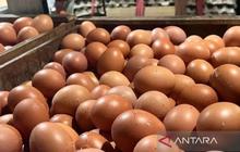 Update Harga Pangan Nasional: Cabai Rawit Merah dan Telur Ayam Stabil di Awal Tahun