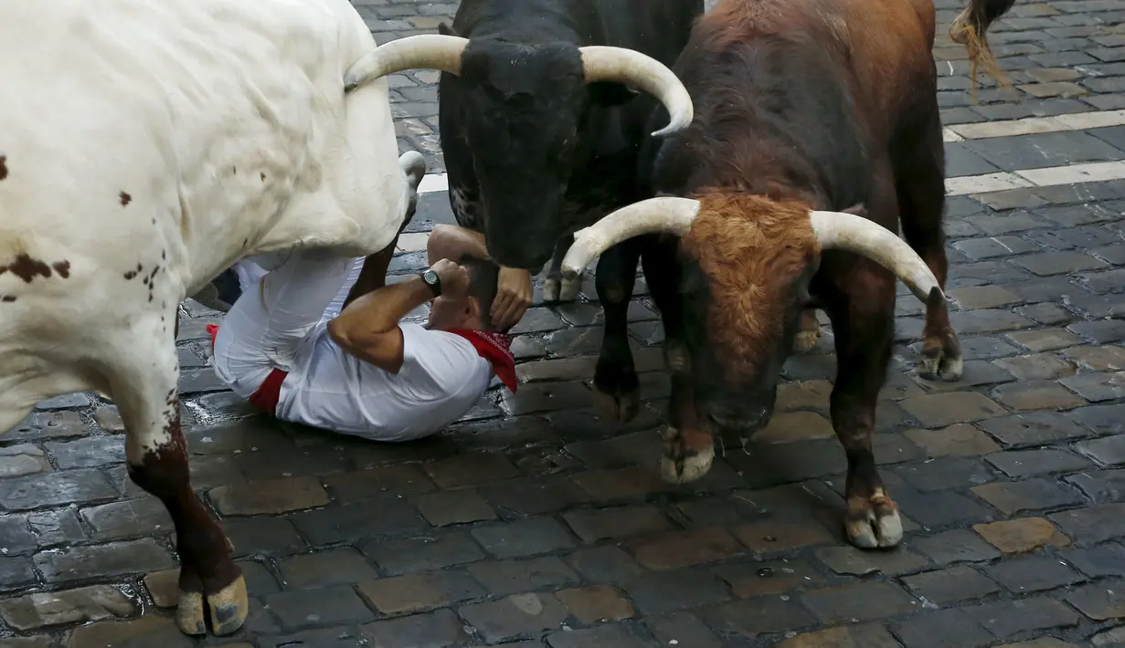 Salah satu peserta terlihat terjatuh dan terinjak oleh komplotan banteng yang berlari saat Festival San Fermin Pamplona, Spanyol, Selasa (7/7/2015). (Reuters/Susana Vera)