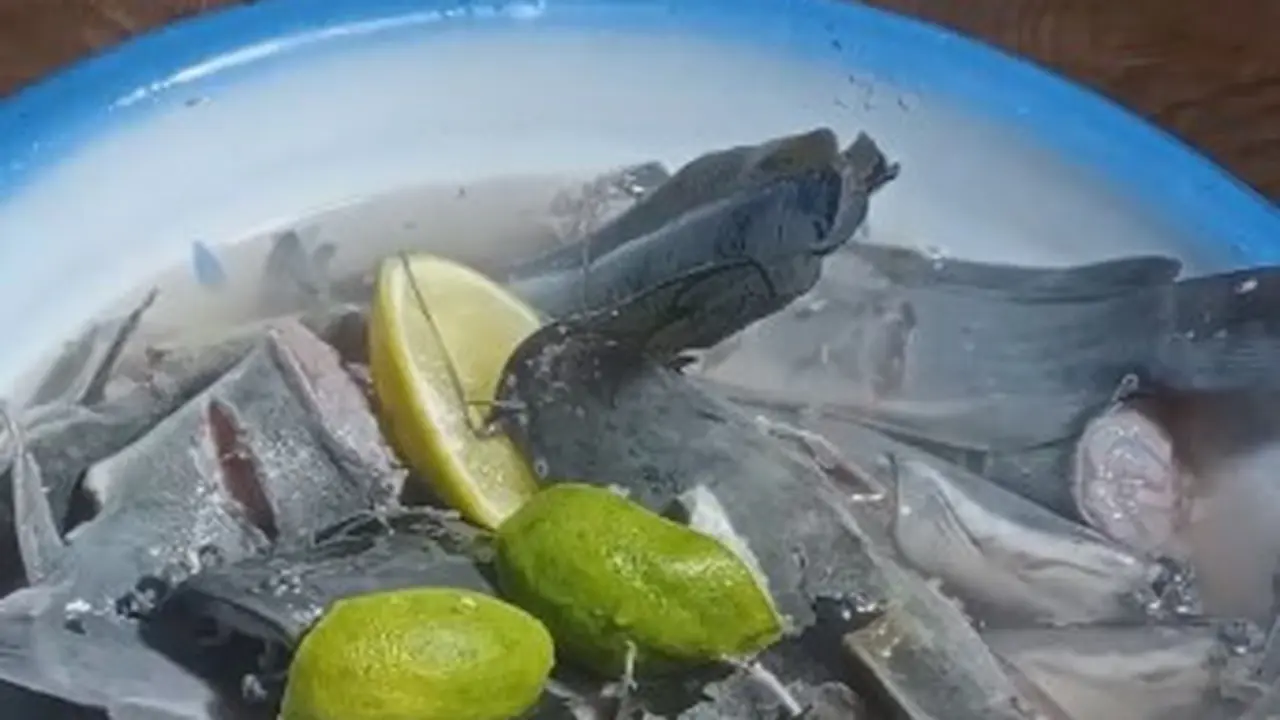 Ikan Lele
