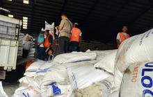 BPS: Harga Beras Turun di November 2024