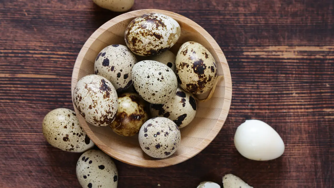 Telur puyuh
