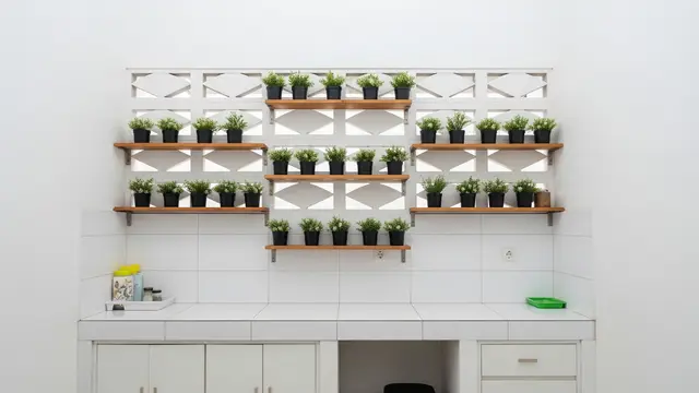 Desain Dapur Kecil Minimalis dengan Kombinasi Roster dan Tanaman