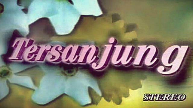 Bumper Tersanjung (foto: Multivision via Youtube)