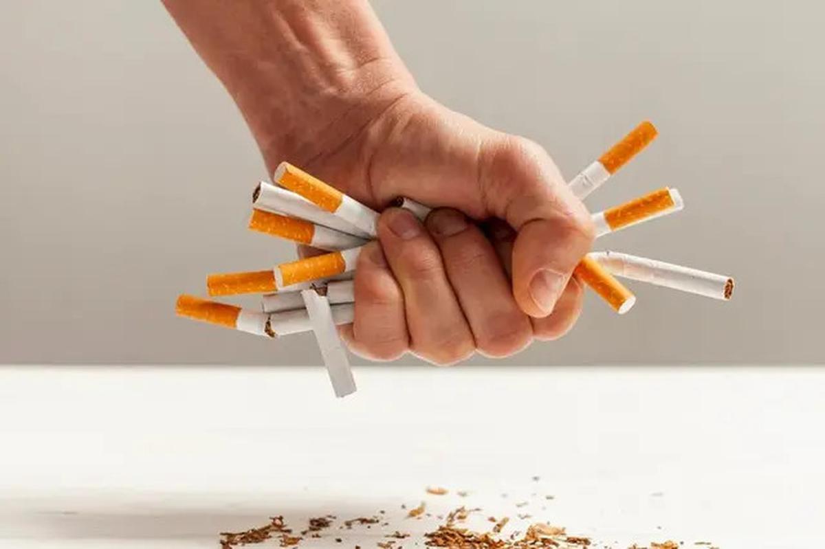8 Cara Efektif Menurunkan Kadar Kolesterol Tinggi lewat Gaya Hidup Sehat