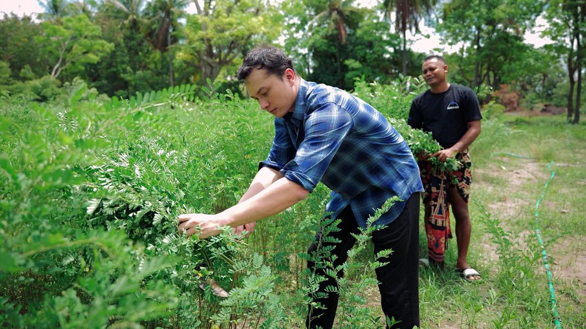 Potret Nicholas Saputra Bareng Kelompok Penenun di Sumba Timur NTT, Tenun Tak Hanya Simbol Budaya