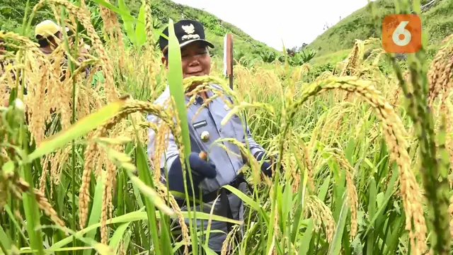 Bupati Mahakam Ulu Bonifasius Belawan