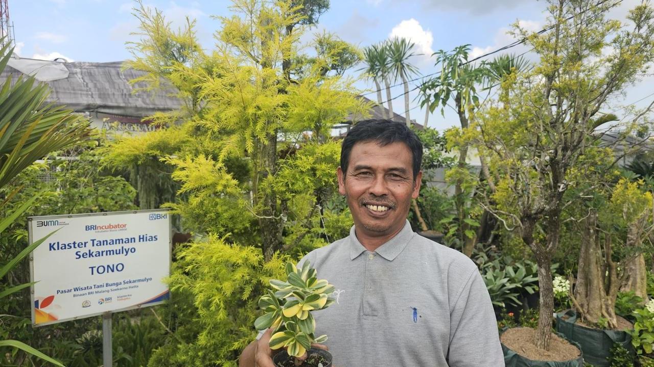 Kisah Klaster Usaha Tanaman Hias Binaan BRI
