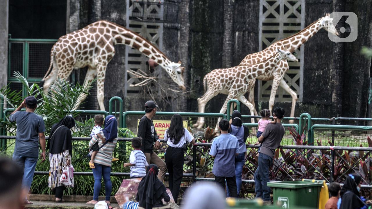 Tiket Ragunan Diusulkan Naik Setelah 20 Tahun, Segini Angkanya