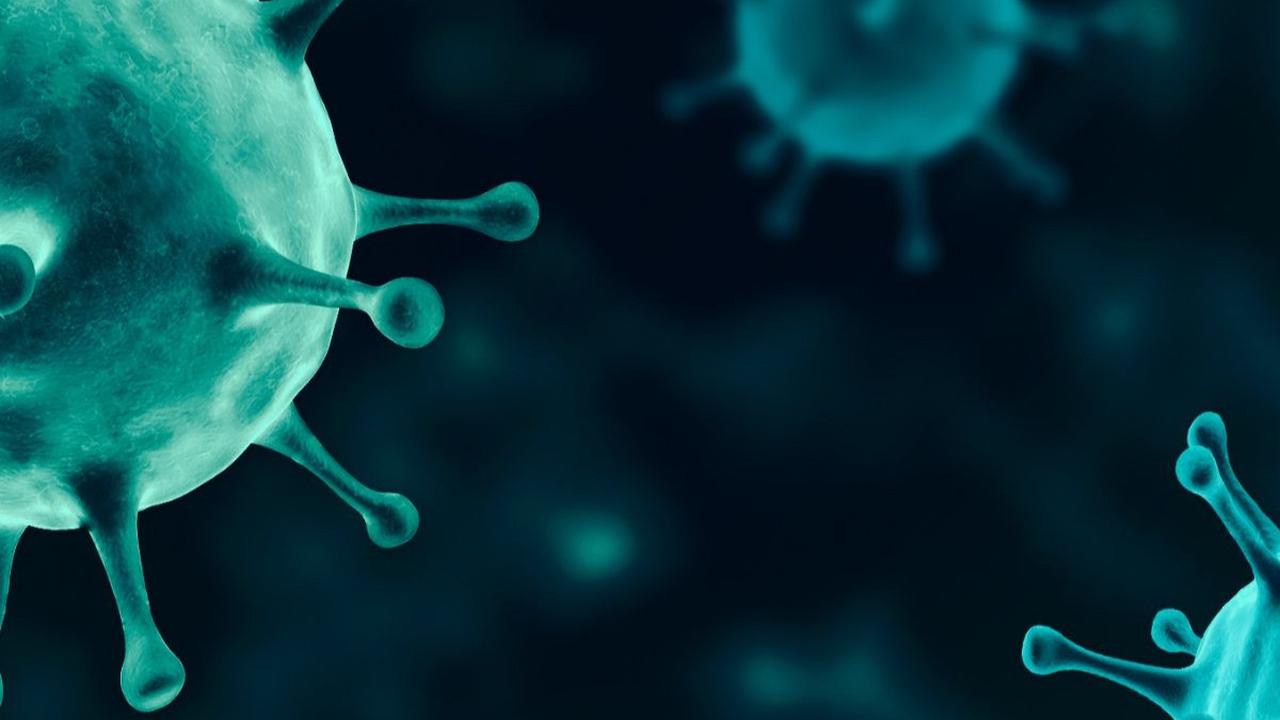 Israel Diserang Virus Mematikan, 100 Orang Terinfeksi